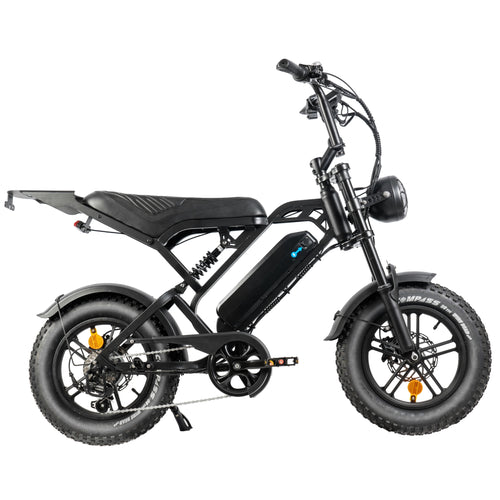RIDEKULT V20 Mini Fatbike